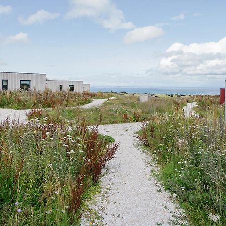 Rustic Cabins, Sea Views From Rewilded Farm With Highland Cows Σεντ Άντριους Εξωτερικό φωτογραφία