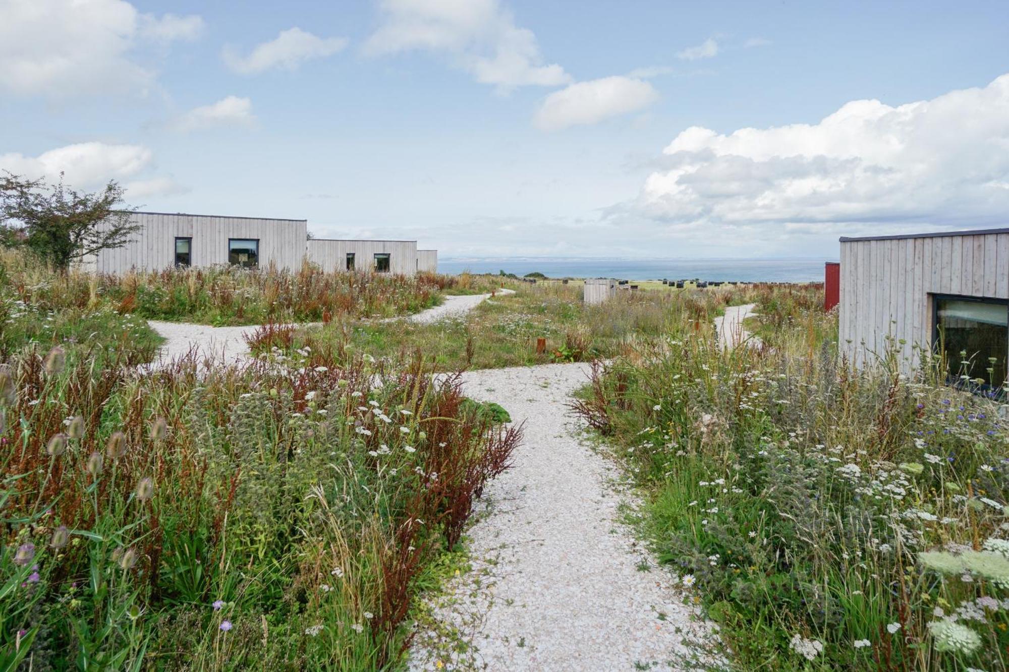 Rustic Cabins, Sea Views From Rewilded Farm With Highland Cows Σεντ Άντριους Εξωτερικό φωτογραφία