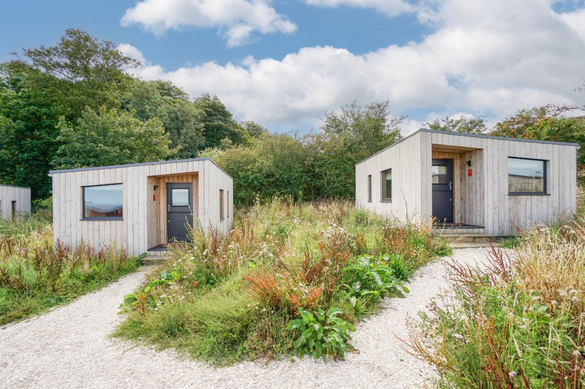 Rustic Cabins, Sea Views From Rewilded Farm With Highland Cows Σεντ Άντριους Εξωτερικό φωτογραφία